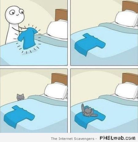 Funny cat logic cartoon at PMSLweb.com
