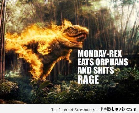 Funny Monday rex at PMSLweb.com