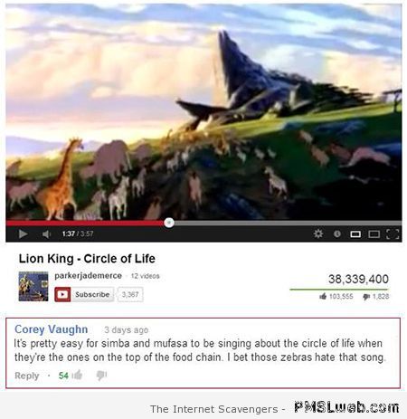 Lion King Circle of life funny Youtube comment at PMSLweb.com