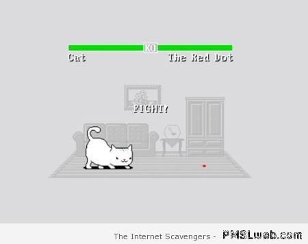 Cat versus red dot game at PMSLweb.com