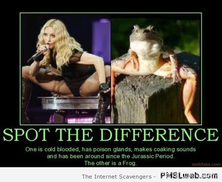 Madonna spot the difference humor at PMSLweb.com