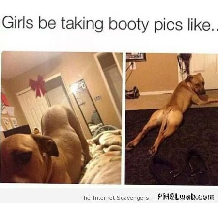 Girls be taking booty pics – Weekend LOL at PMSLweb.com