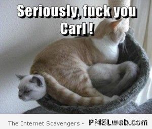 26-F-you-Carl-cat-meme