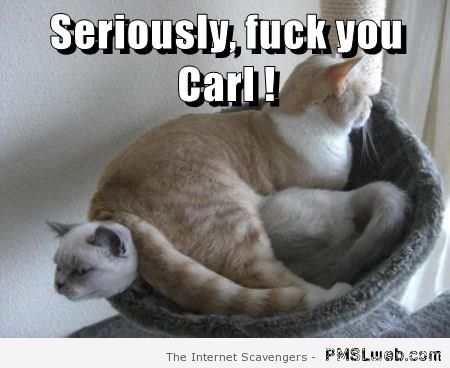 F*ck you Carl cat meme – TGIF fun at PMSLweb.com