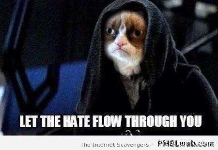 Grumpy cat Star Wars meme at PMSLweb.com