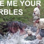 Give me your marbles meme at PMSLweb.com