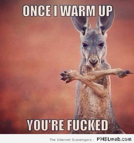 Once I warm up kangaroo meme at PMSLweb.com