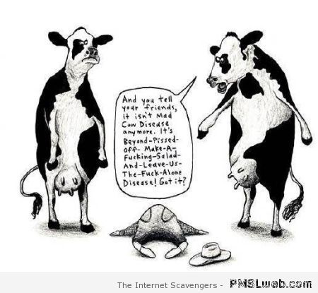 Funny mad cow disease cartoon – Hump day laughter at PMSLweb.com