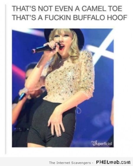 Taylor Swift camel toe – Funny weekend pictures at PMSLweb.com