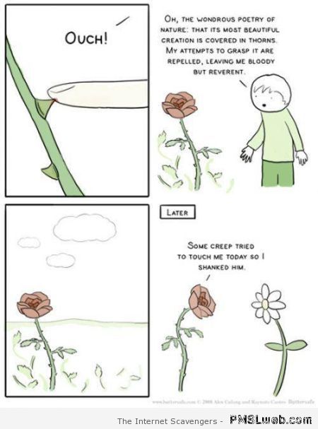 Funny rose cartoon at PMSLweb.com