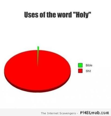 Funny graph use of the word holy at PMSLweb.com