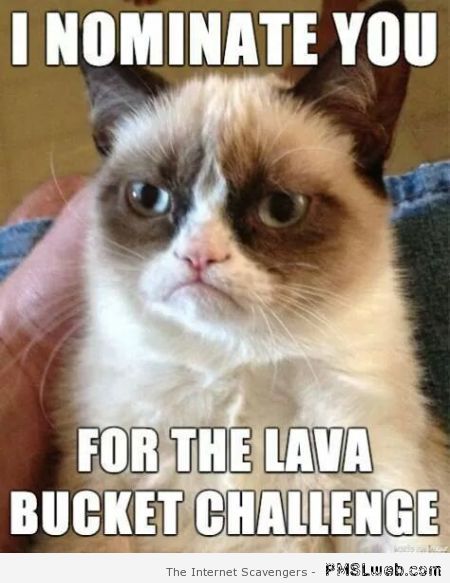 Lava bucket challenge meme at PMSLweb.com