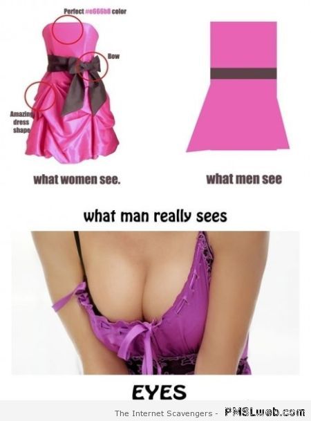 Funny what man really sees – Wednesday ROFL at PMSLweb.com