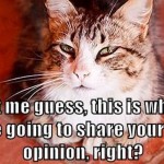Your shitty opinion cat meme – Tuesday lolz at PMSLweb.com