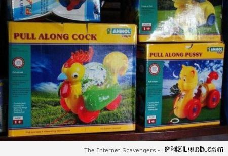Pussy and cock toy fail at PMSLweb.com