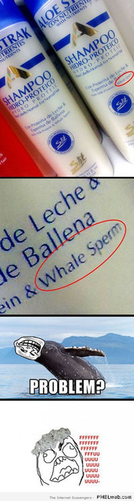 Whale sperm shampoo at PMSLweb.com