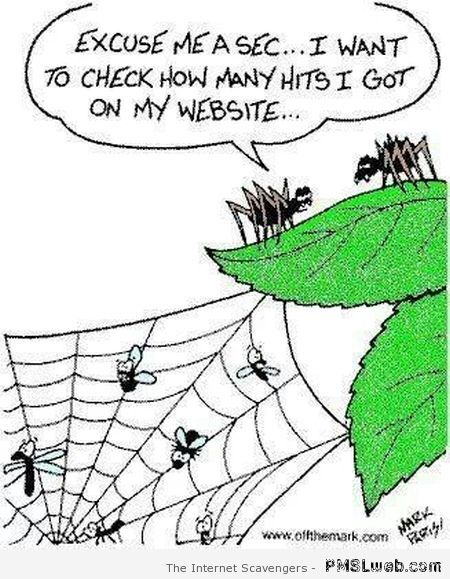 Funny spider web cartoon – Funny Sunday pictures at PMSLweb.com