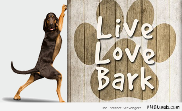 Live love and bark � Funny dogs at PMSLweb.com