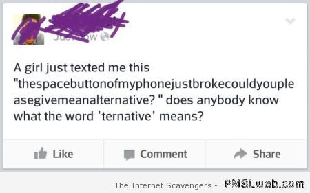 What does ternative mean funny at PMSLweb.com