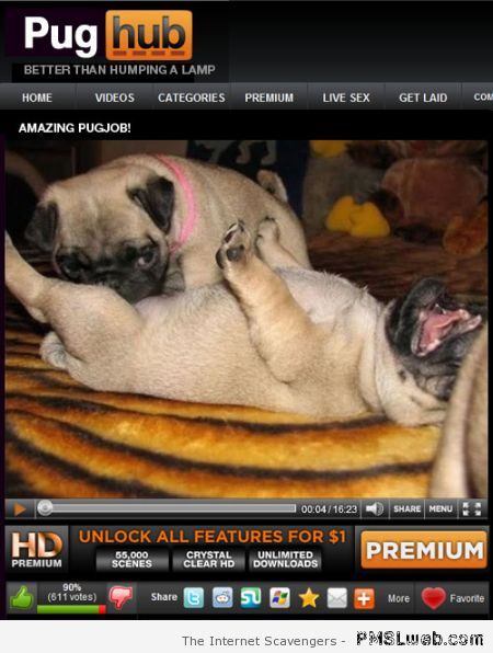 Funny pug hub at PMSLweb.com