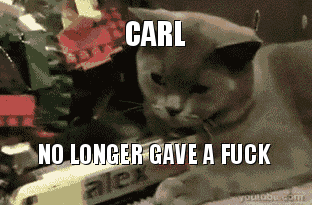 Cat not giving a f*ck gif – Bad language humor at PMSLweb.com