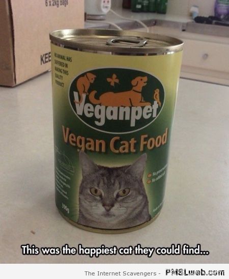 Vegan cat food meme at PMSLweb.com