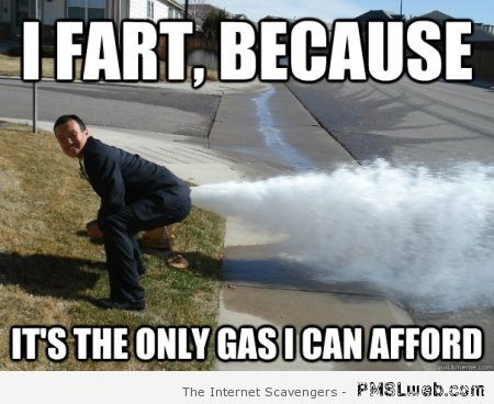 I fart because meme at PMSLweb.com