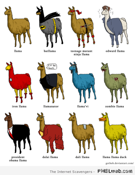 Funny llama chart at PMSLweb.com