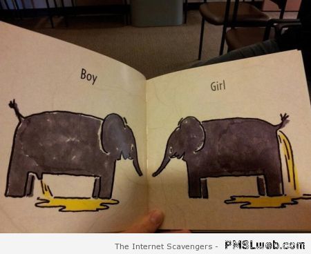 Explaining elephant gender to children funny fail at PMSLweb.com