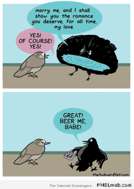 Funny birds and marriage cartoon at PMSLweb.com