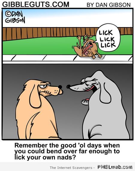 Good old days dog humor at PMSLweb.com