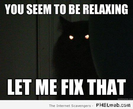 Demon possessed black cat meme at PMSLweb.com