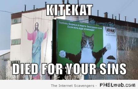 Kitekat died for your sins meme at PMSLweb.com