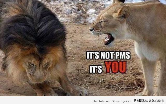 It’s not PMS it’s you meme at PMSLweb.com