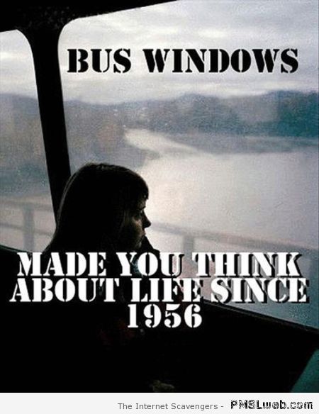 Bus windows humor at PMSLweb.com