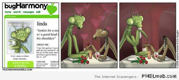 Praying mantis dating cartoon at PMSLweb.com