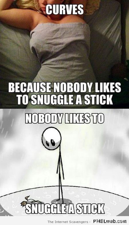 Nobody snuggles a stick meme at PMSLweb.com
