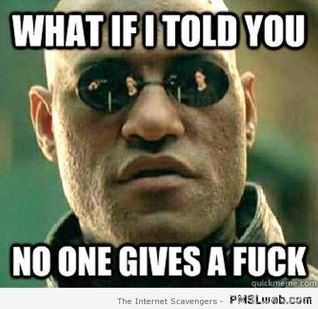 What if I told you nobody gives a f*ck meme at PMSLweb.com