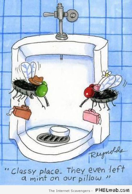 Funny fly in toilet cartoon – Amusing Wednesday at PMSLweb.com