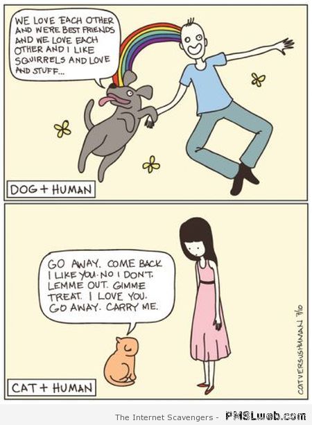 Dog and human versus cat and human humor at PMSLweb.com