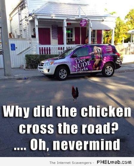 Funny why did the chicken cross the road meme at PMSLweb.com