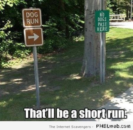 Funny dog run sign fail at PMSLweb.com