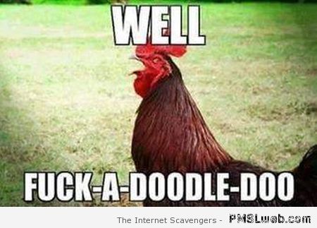 Rude rooster meme – Daily sarcasm at PMSLweb.com