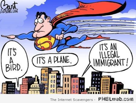 Superman illegal immigrant cartoon at PMSLweb.com