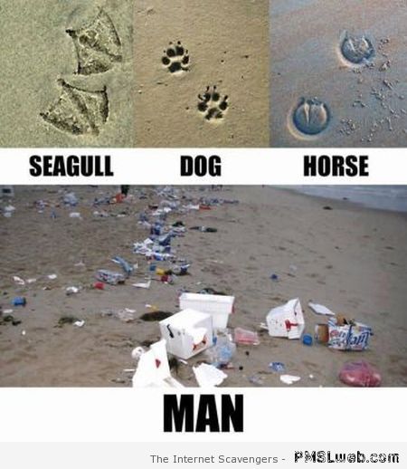 Man’s polluted footprints at PMSLweb.com