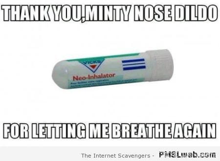Minty nose dildo meme at PMSLweb.com