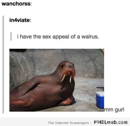 I have the sex appeal of a walrus at PMSLweb.com