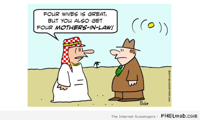 Four wives is great funny cartoon at PMSLweb.com