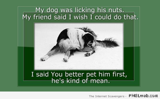 My dog was licking his nuts humor at PMSLweb.com