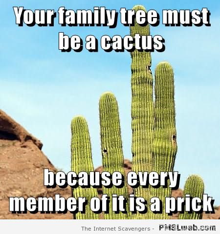 Your family tree must be a cactus meme at PMSLweb.com